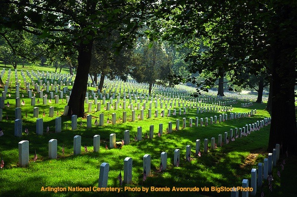 Post image for The cost of freedom