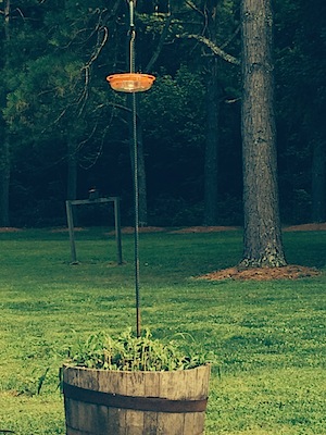 NewHummerFeeder_IMG_0855_300