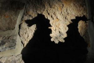 Shadow of dragon on wall