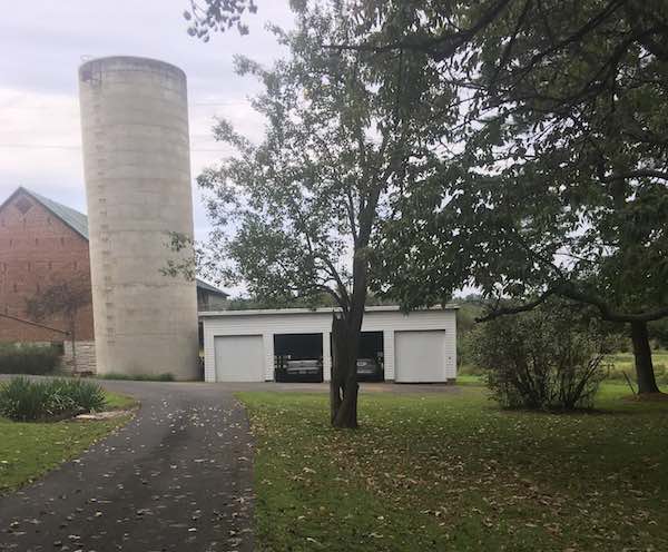 leaves on ground at author's home, Riverwood