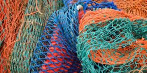 Colored nets entwined with each other